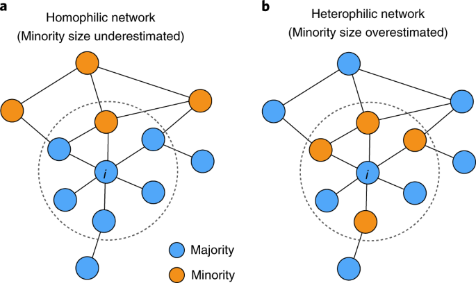 Two small networks around the same person i. In the homophilic network their neighbours are mostly the majority group and the minority is underestimated; in the heterophilic network the minority is overestimated.