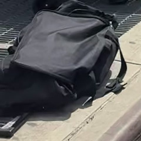 Cropped garment: black everyday backpack